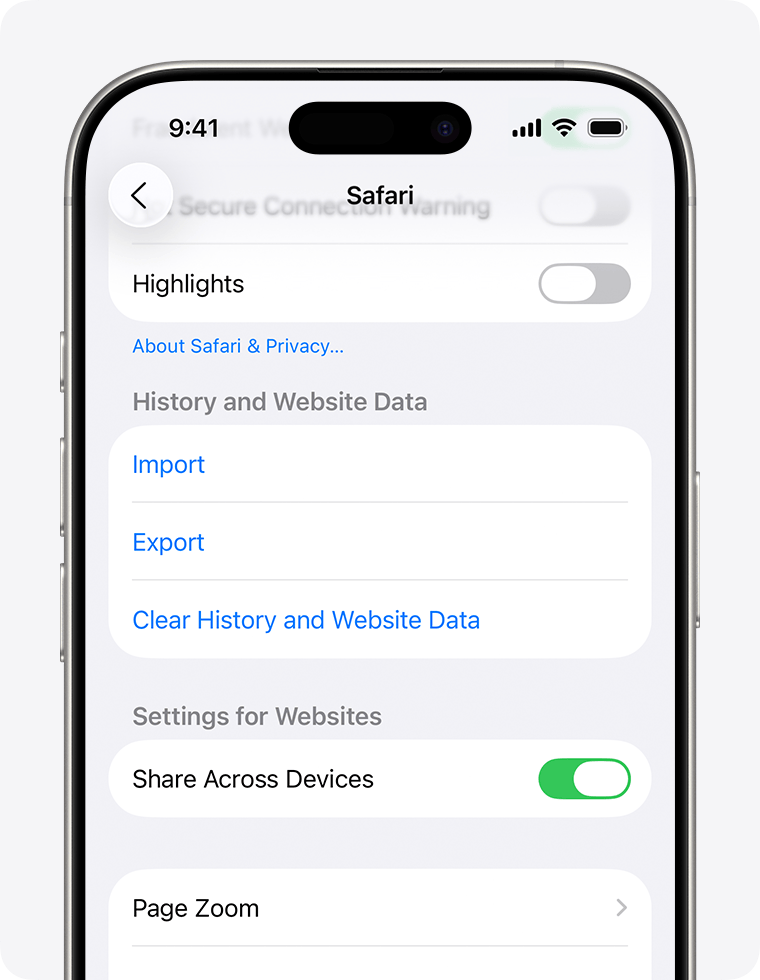 iPhone screen showing Clear History and Website Data option in Safari Settings.