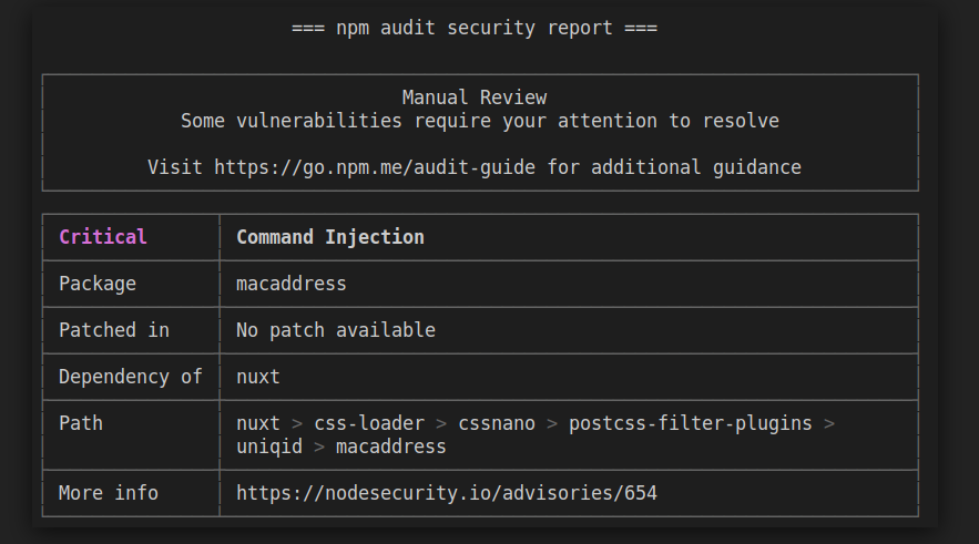 NPM Audit result alt text