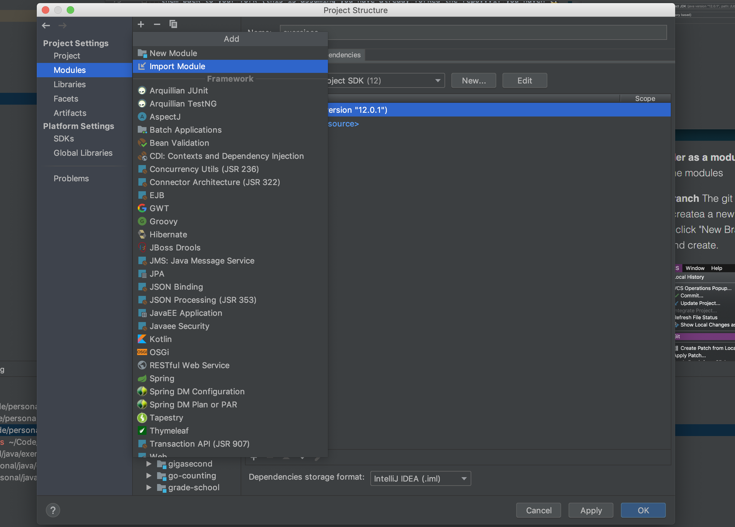 java-module