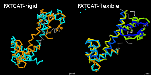 (Left) Rigid and (Right) flexible alignments of calmodulin