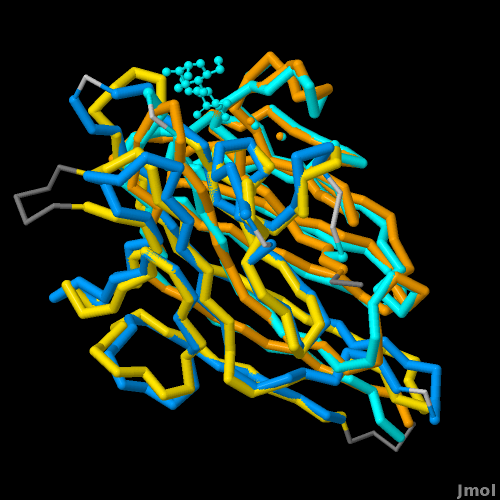 Concanavalin A (yellow & orange) aligned with Pea Leptin (blue and cyan)