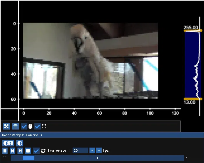 ../_static/guide_image_widget.webp