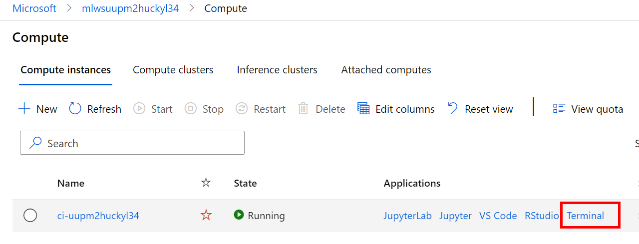 compute instance terminal