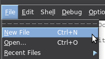 New File in IDLE