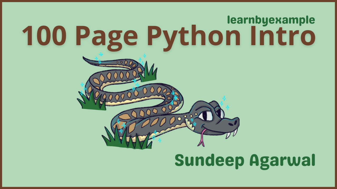 100 Page Python Intro ebook cover image