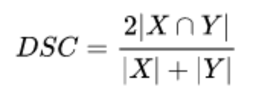 Dice Coefficient