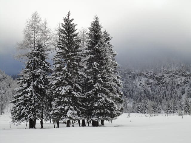 How To Handle Missing Values In Machine Learning Data With Weka How To Handle Missing Data For Machine Learning in Weka