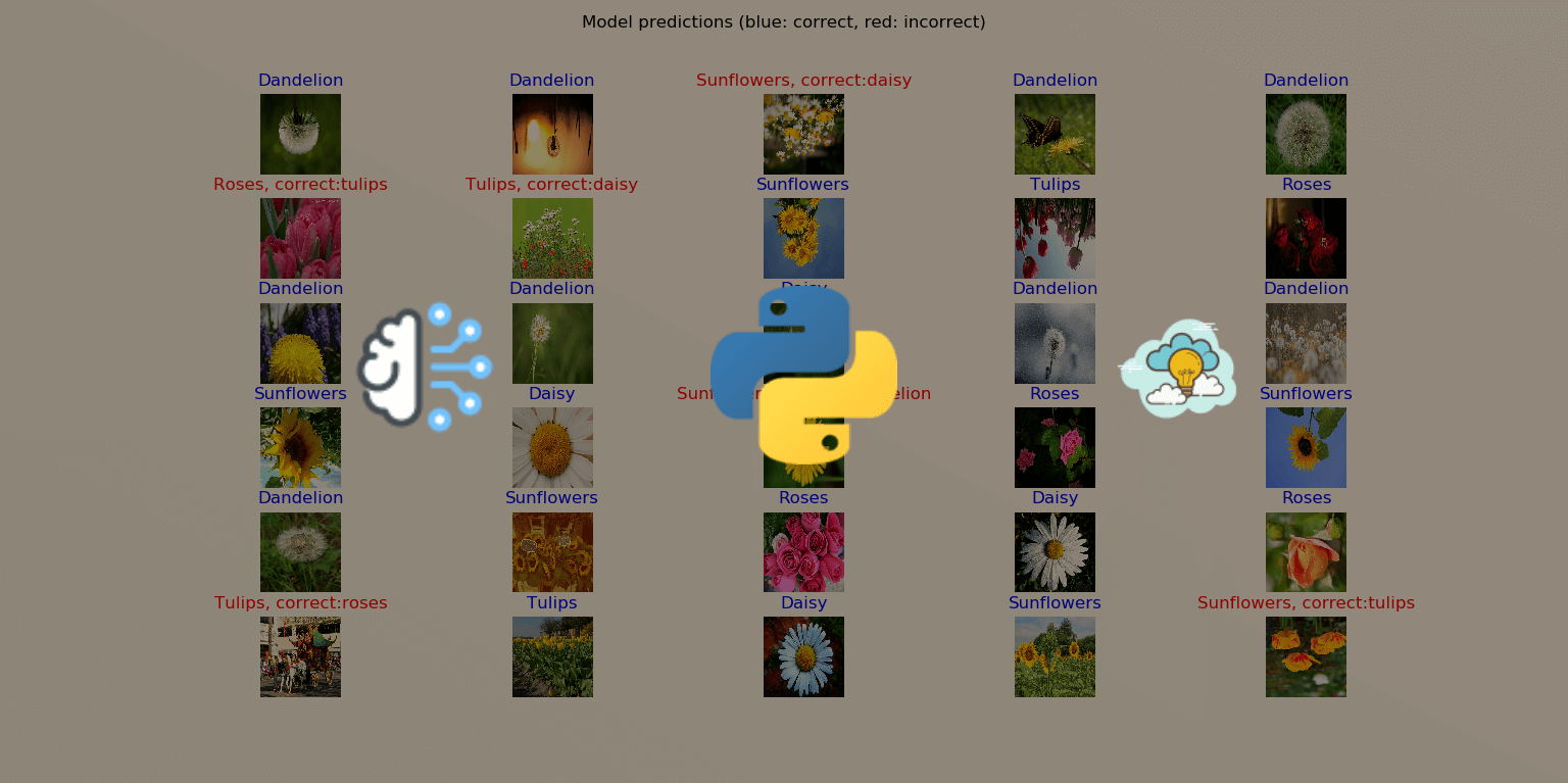 How to Use Transfer Learning for Image Classification using TensorFlow in Python